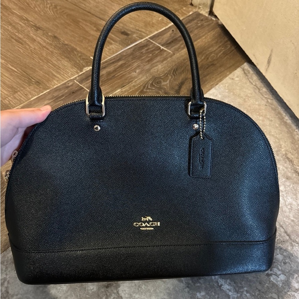 Coach dome Bag